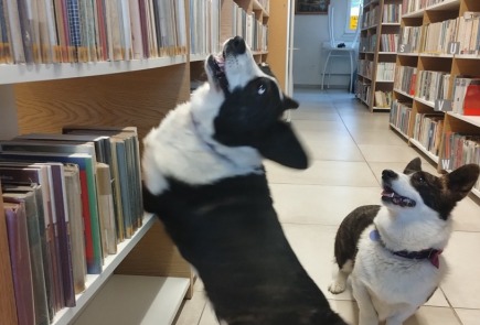 4 października - Światowy Dzień Zwierząt.